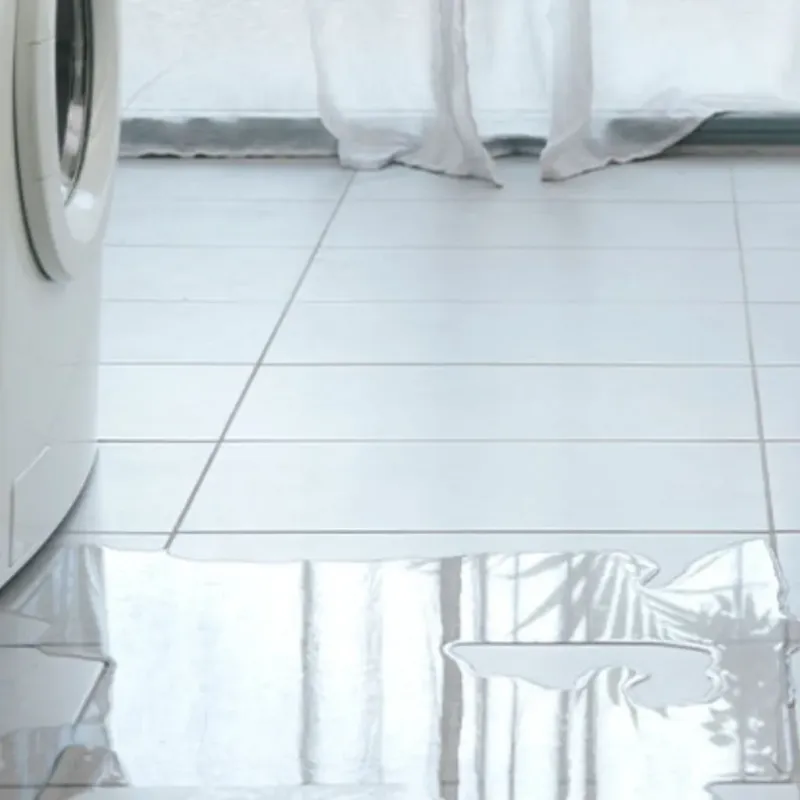 Appliance Leak Cleanup in Rice Lake, WI
