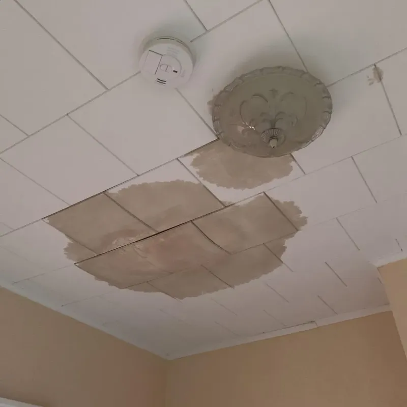 Ceiling Water Damage Repair in Rice Lake, WI