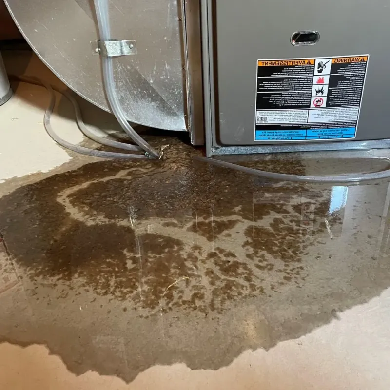 Pipe Burst and Leak Restoration in Rice Lake, WI