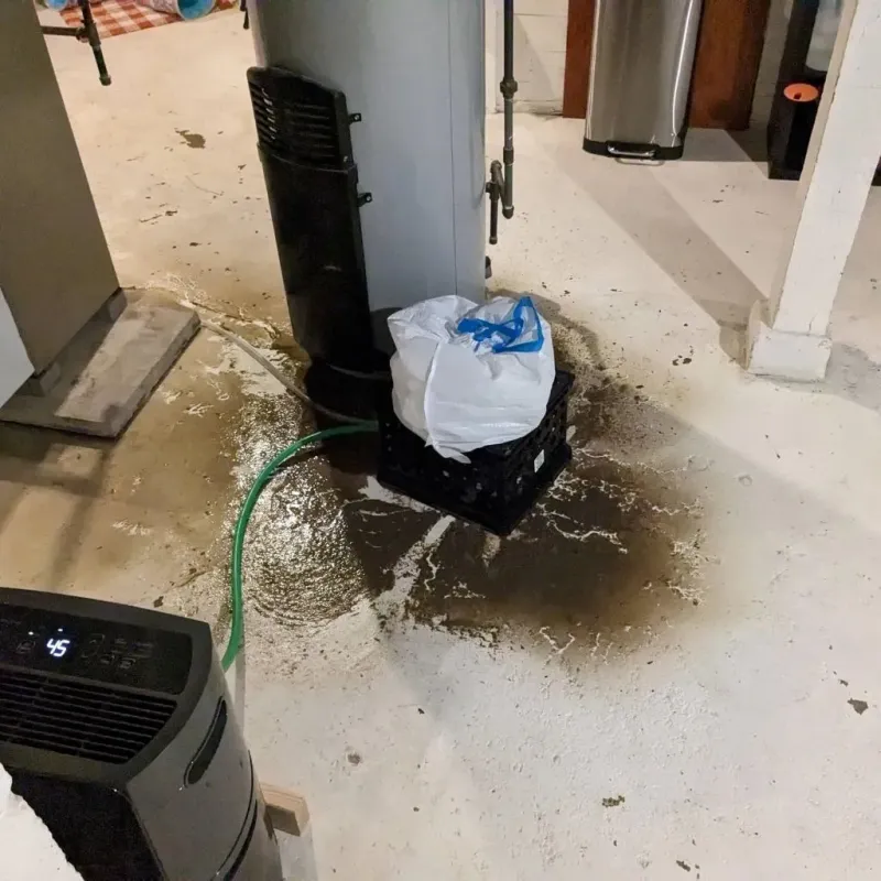 Sewage Backup Cleanup Service in Rice Lake, WI